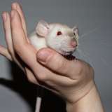 ellaella594 from onlyfans